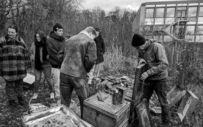 Frieren Bienen im Winter? Neues aus dem Ludwigsburger Makerspace